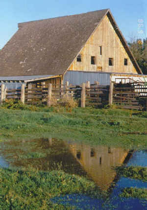 Barnpicture